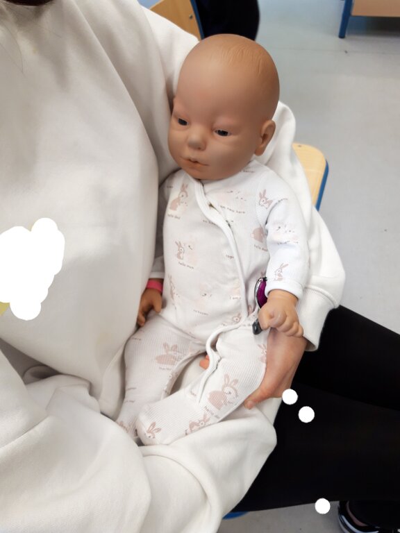2026_Rent_a_Baby_01.jpg